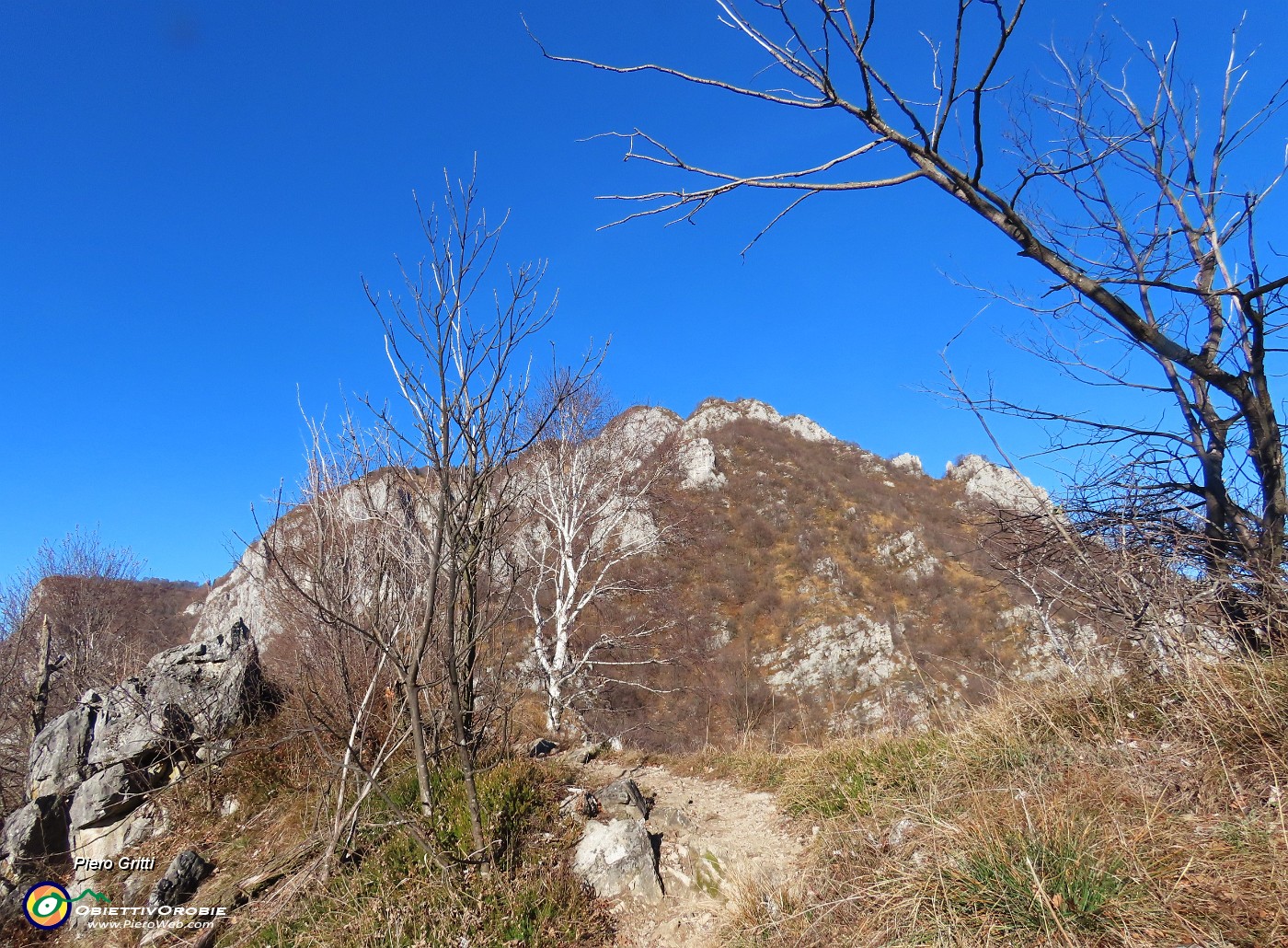 53 Dalla cima del Monte San Martino (1080 m) vista a nord sul Monte Coltignone.JPG